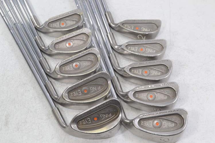 Ping Eye 2 2-W,SW Iron Set Orange Dot Right Stiff Flex DG S300 Steel # 169421