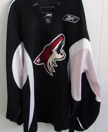 Phoenix Coyotes goalie-cut size 58 black Reebok practice jersey worn 2010-11 seasons MIC