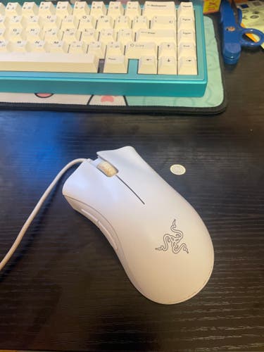 Used Gaming Mouse