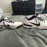 Zoom Pegasus 38 "Georgia"