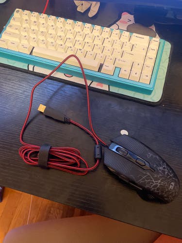 Used Gaming Mouse