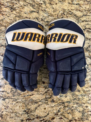 Warrior alpha pro gloves 12”