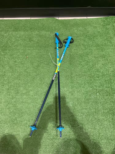 Used 36in (90cm) Leki RIDER Ski Poles