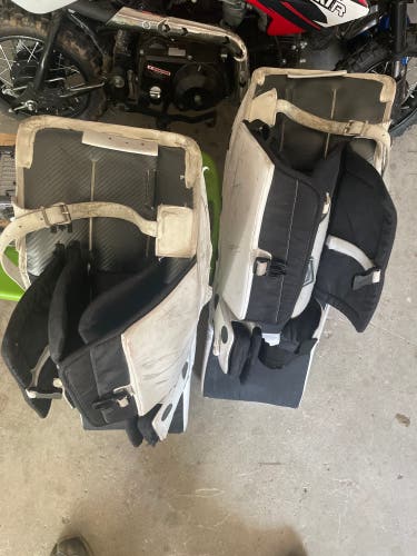 Brian's 32+1 Goalie pads