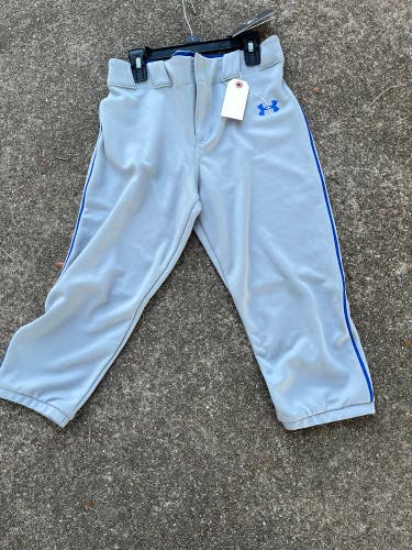 Gray New Large Youth Men's Under Armour Game Pants