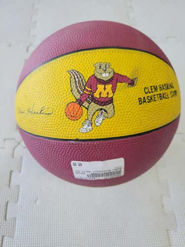 Used Baden Basketballs