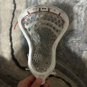 Strung Stallion 1K Head