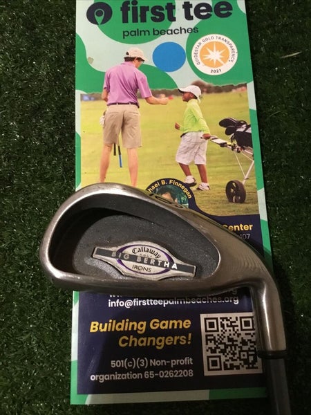 Callaway Ladies 2002 Big Bertha 6 Iron Graphite Shaft