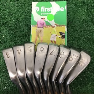 American Club EEE 3 ZZZ Iron Set 3-PW Stiff Steel Shafts