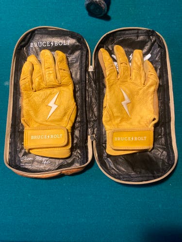 Bruce bolt Batting Gloves