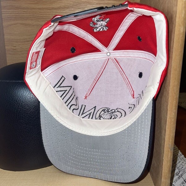 Vintage 90s Wisconsin Badgers Bucky Spellout Snapback Hat Cap Rare