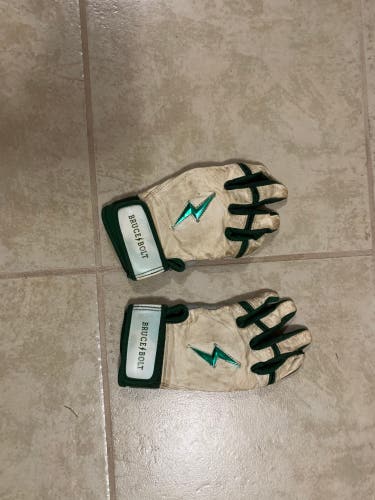 Bruce Bolt Batting Gloves