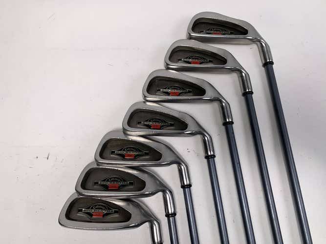 Callaway 1994 Big Bertha Iron Set 3-9 RCH 90 Firm Graphite Mens RH