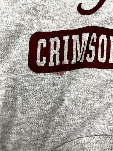 Alabama Roll Tide Youth Boys Girls XL 18/20 Pullover Hoodie Gray