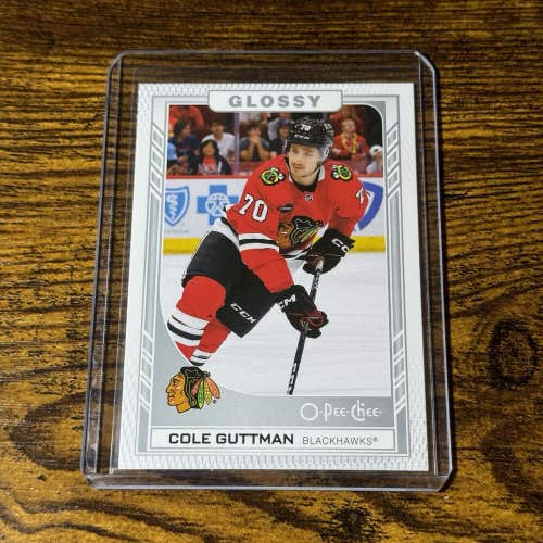 Cole Guttman Chicago Blackhawks 2023-24 NHL Upper Deck OPC Glossy Rookie #R-32