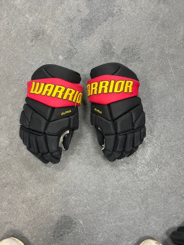 Used  Warrior 14" Alpha Gloves