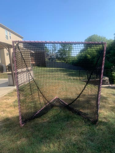 Used Lacrosse Goal