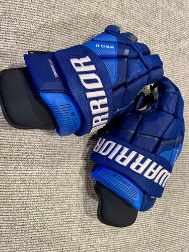 Used a couple practices- Warrior Pro Series II Gloves 12"