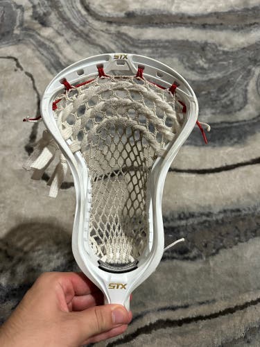 STX Stallion Strung Head