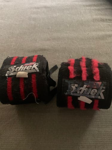 Used Schiek lifting Straps