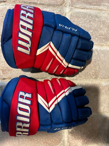 Used Warrior 11" Alpha DX3 Gloves