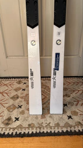 Used 2022 Unisex HEAD 186 cm Racing World Cup Rebels e-GS RD Skis Without Bindings