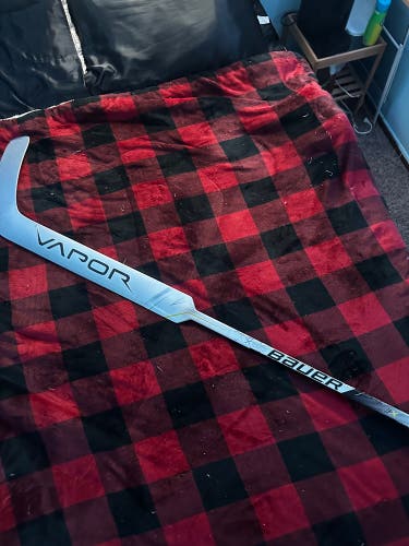 Bauer Vapor goalie sticks 2