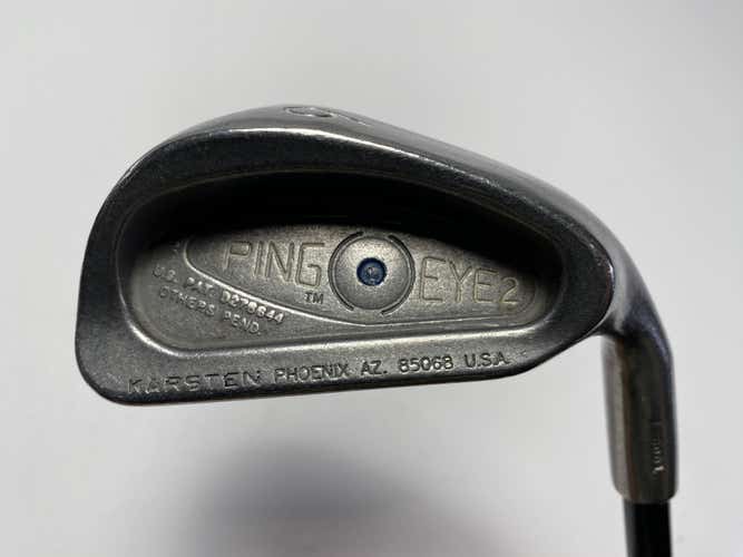 Ping Eye 2 Single 6 Iron Blue Dot Aldila VX Regular Graphite Mens RH