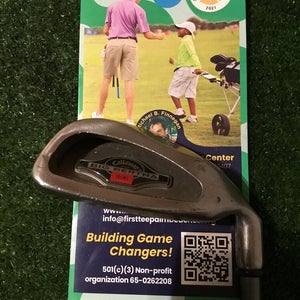 Callaway Big Bertha 1996 9 Iron Regular Graphite Shaft