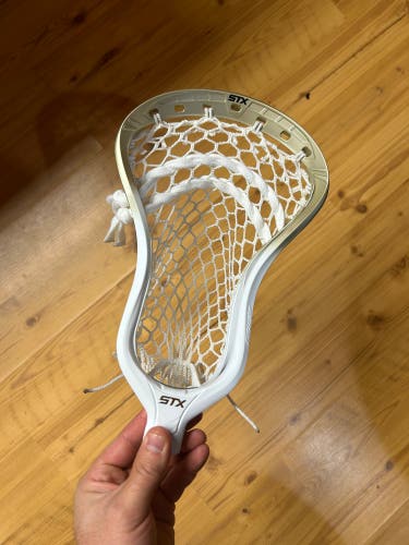 New LE Gold Stallion 1K - Strung 9d Mesh