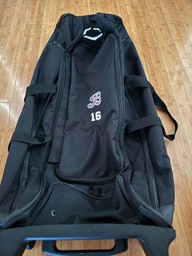 New Catcher's Bag