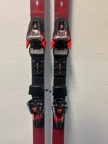 Racetiger Völkl FIS GS Skis 2020