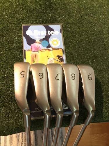 Ping G10 Black Dot Irons Set (5-9 Irons) Regular AWT Steel Shafts