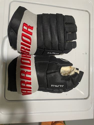 Adirondack Thunder ECHL Warrior DX 14”