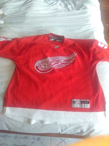 Vakeri Filppula Detroir Red Wings Reebok Jersey