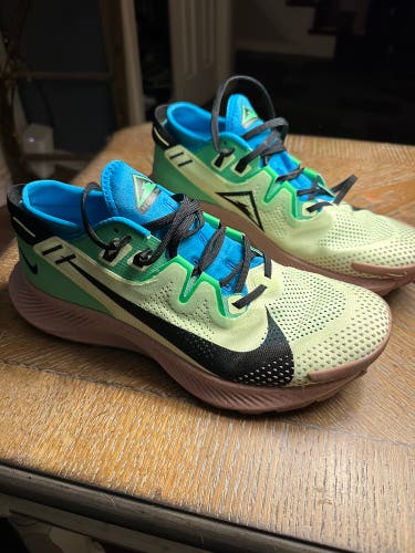 Nike Trail Pegasus Shoes