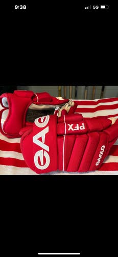 Used Eagle 13" PFX Gloves