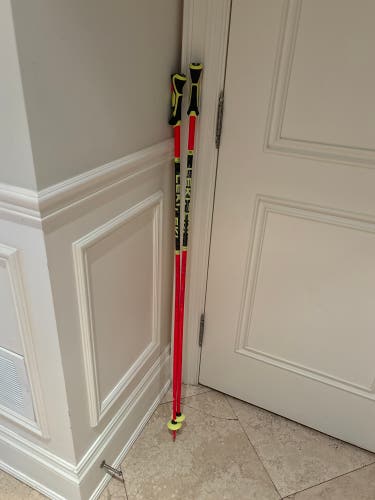 Used 48in (120cm) Racing World Cup Lite GS Ski Poles