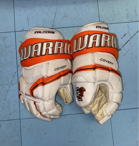 Used Pro Stock Warrior Covert Pro Gloves 14”