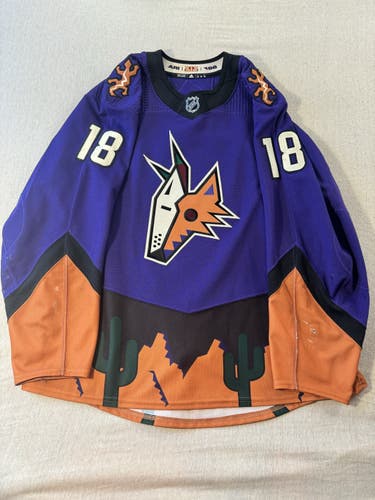 Yotes Reverse Retro 1.0 Dvorak Game Worn Jersey (Matched)