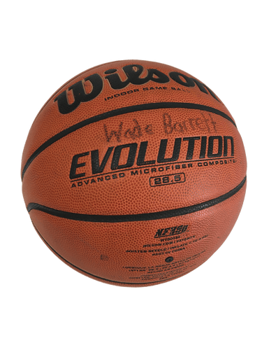 Used Wilson Evolution Basketballs