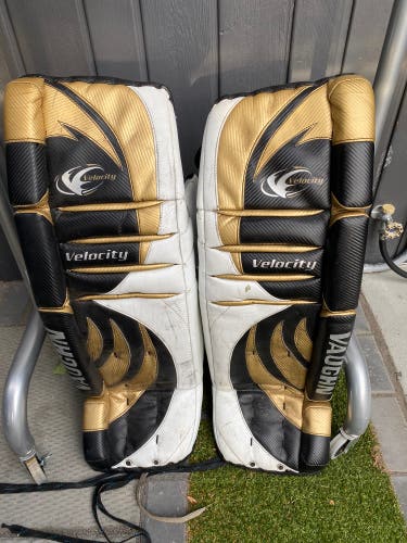 Retro Vaughn Goalie pads