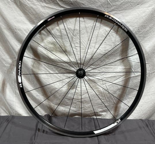 Quintana Roo Alexrims A-Class 20-Spoke Black Aluminum 622x14/700C Front Wheel