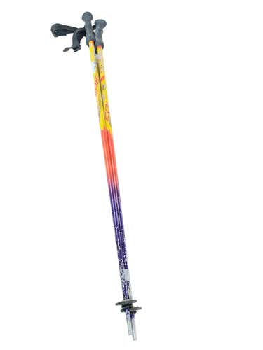 Used Salomon Ski Poles 105 Cm 42 In Men's Downhill Ski Poles