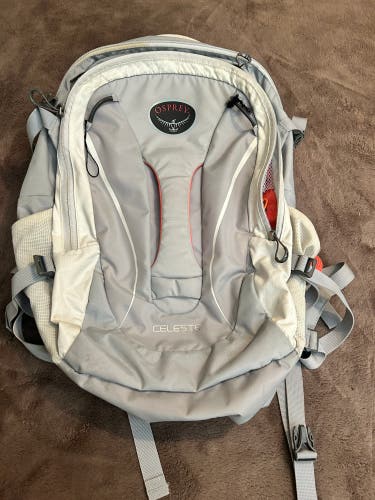 Silver Used Women's Osprey Backpack