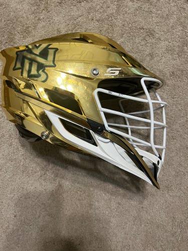 MLL All Star game Lizards Helmet