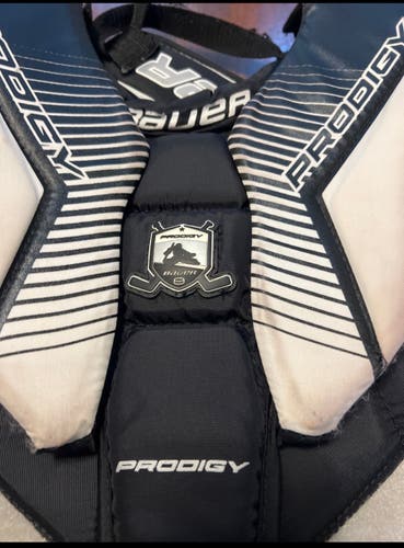 Baur prodigy chest and arm protector