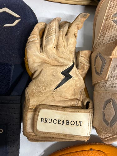 Bruce bolt Batting Gloves