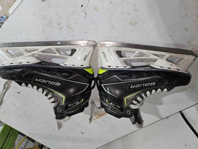 Used Senior Bauer Elite Hockey Goalie Skates Regular Width 8