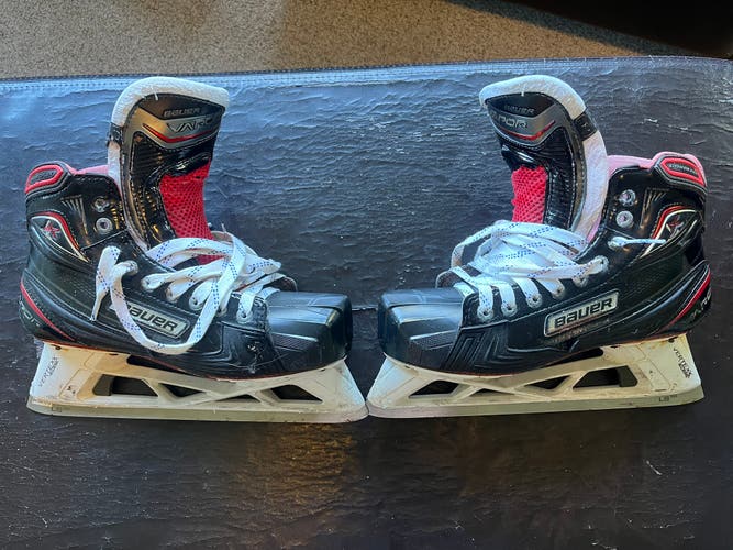 Bauer 1X pro goalie skates